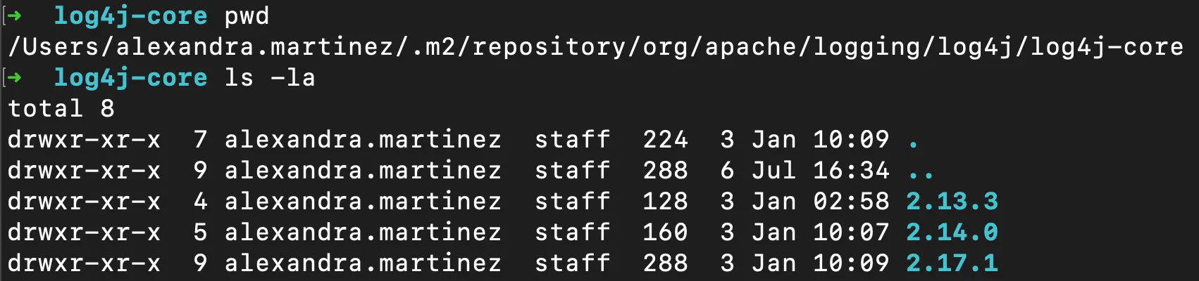 Terminal ls -la of the .m2 log4j-core folder listing version subfolders including 2.17.1