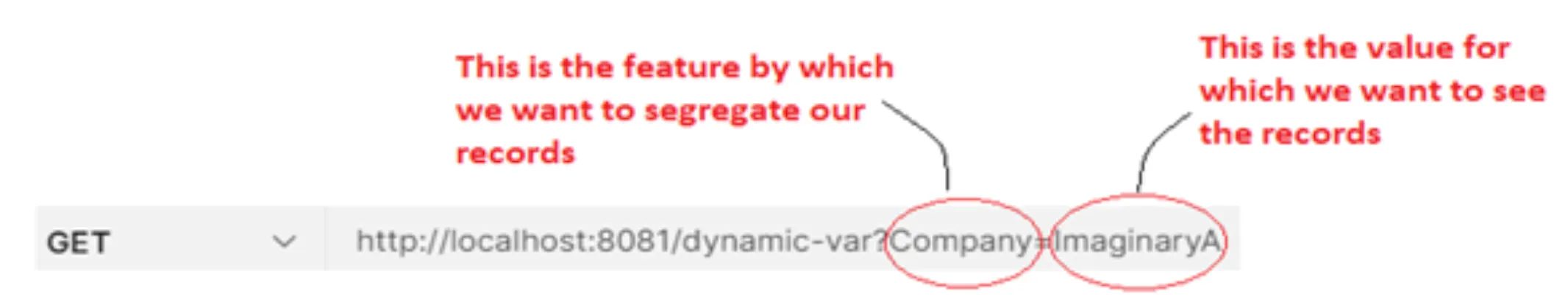 GET request to /dynamic-var with the query string Company=ImaginaryA annotated