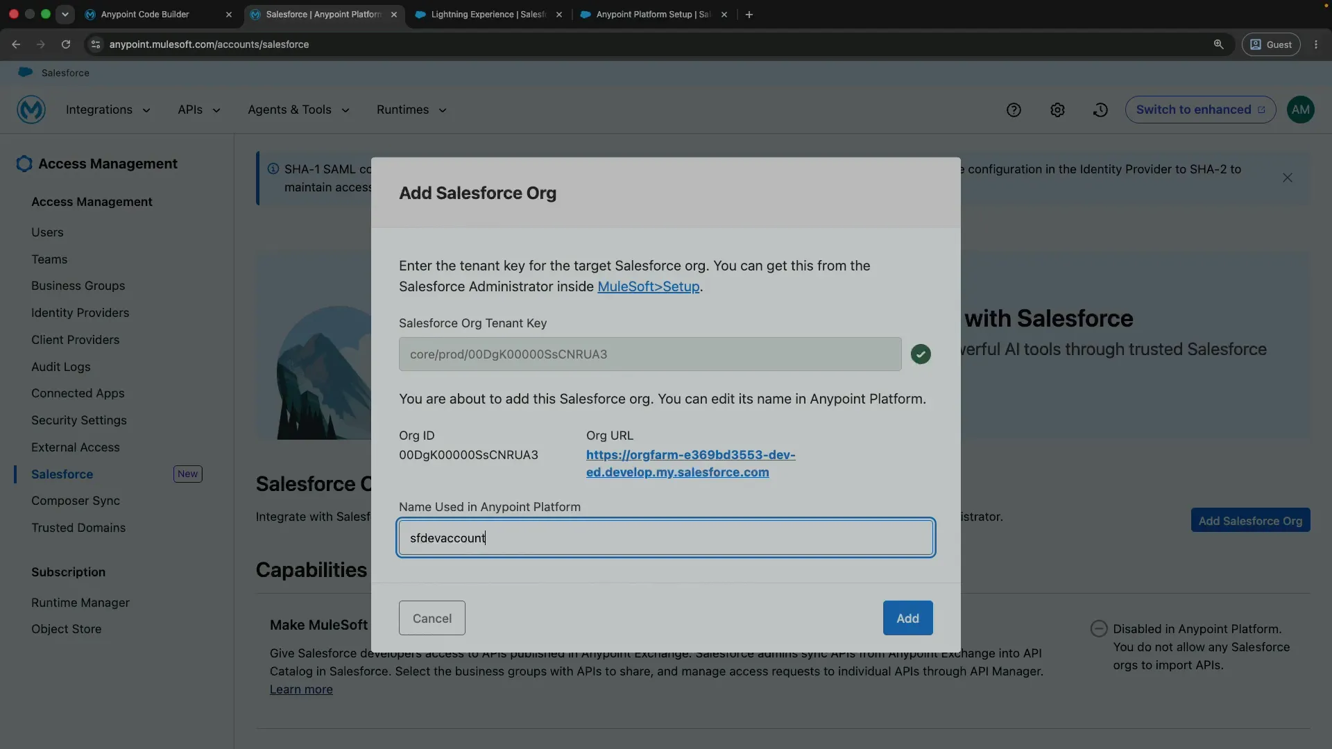 Naming the newly added Salesforce org in Anypoint Platform.