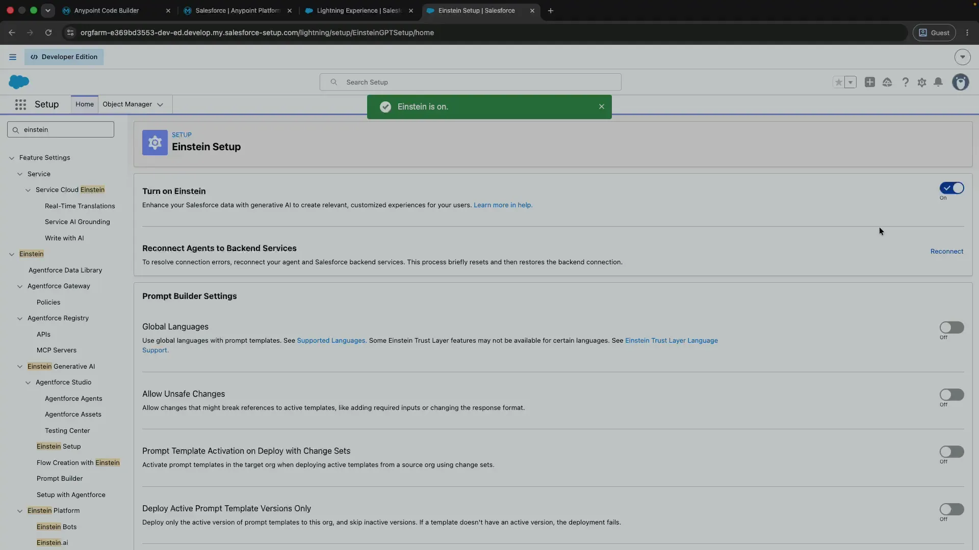 The Einstein Setup page in Salesforce with the Turn on Einstein toggle.