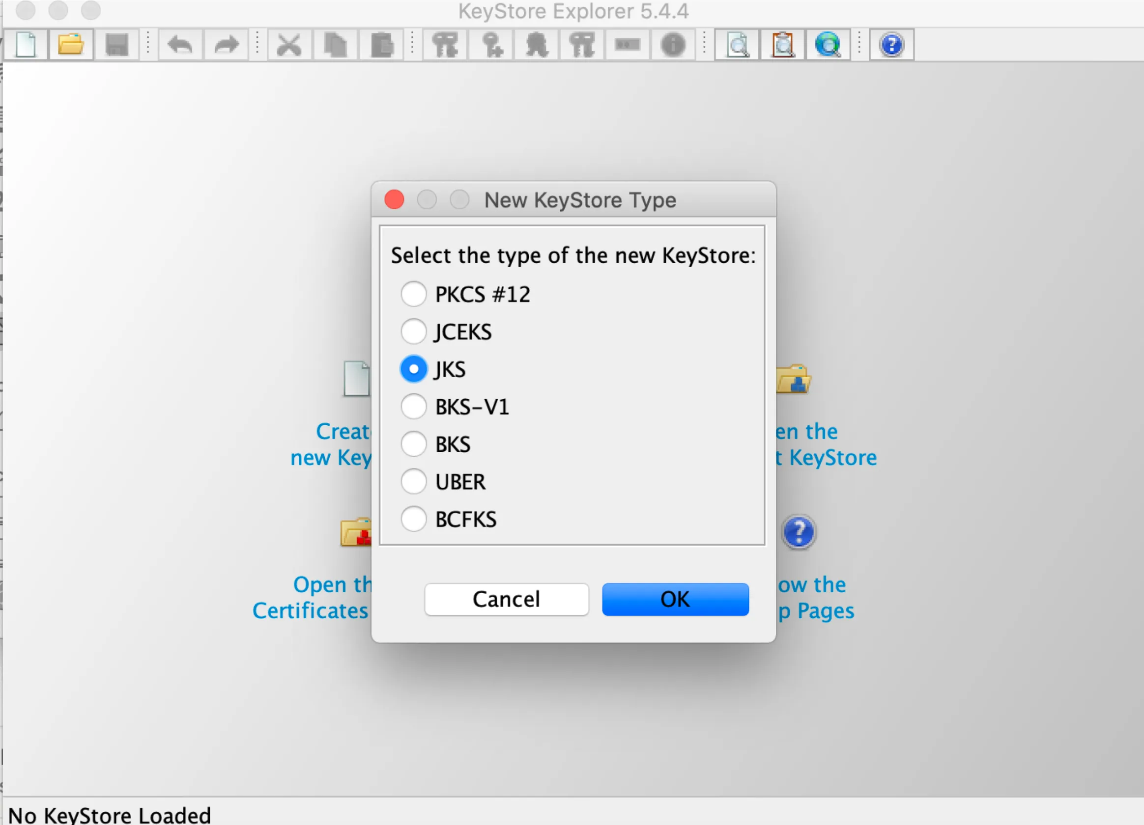 KeyStore Explorer New KeyStore Type dialog with JKS selected