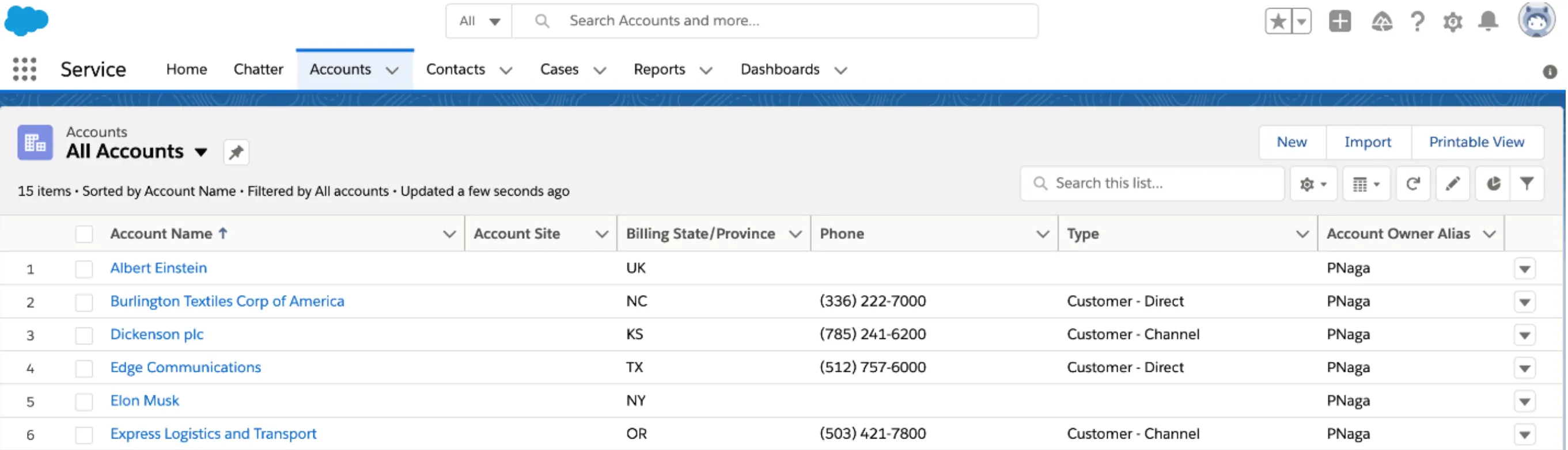 Salesforce All Accounts list including the newly created Elon Musk account