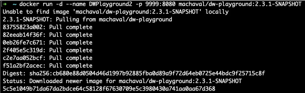 Terminal output of the docker run command pulling the image layers and finishing with the container ID