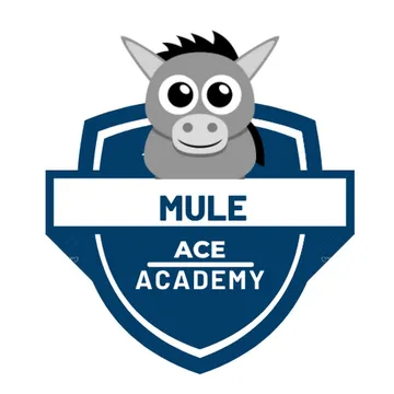 Mule Ace Academy logo