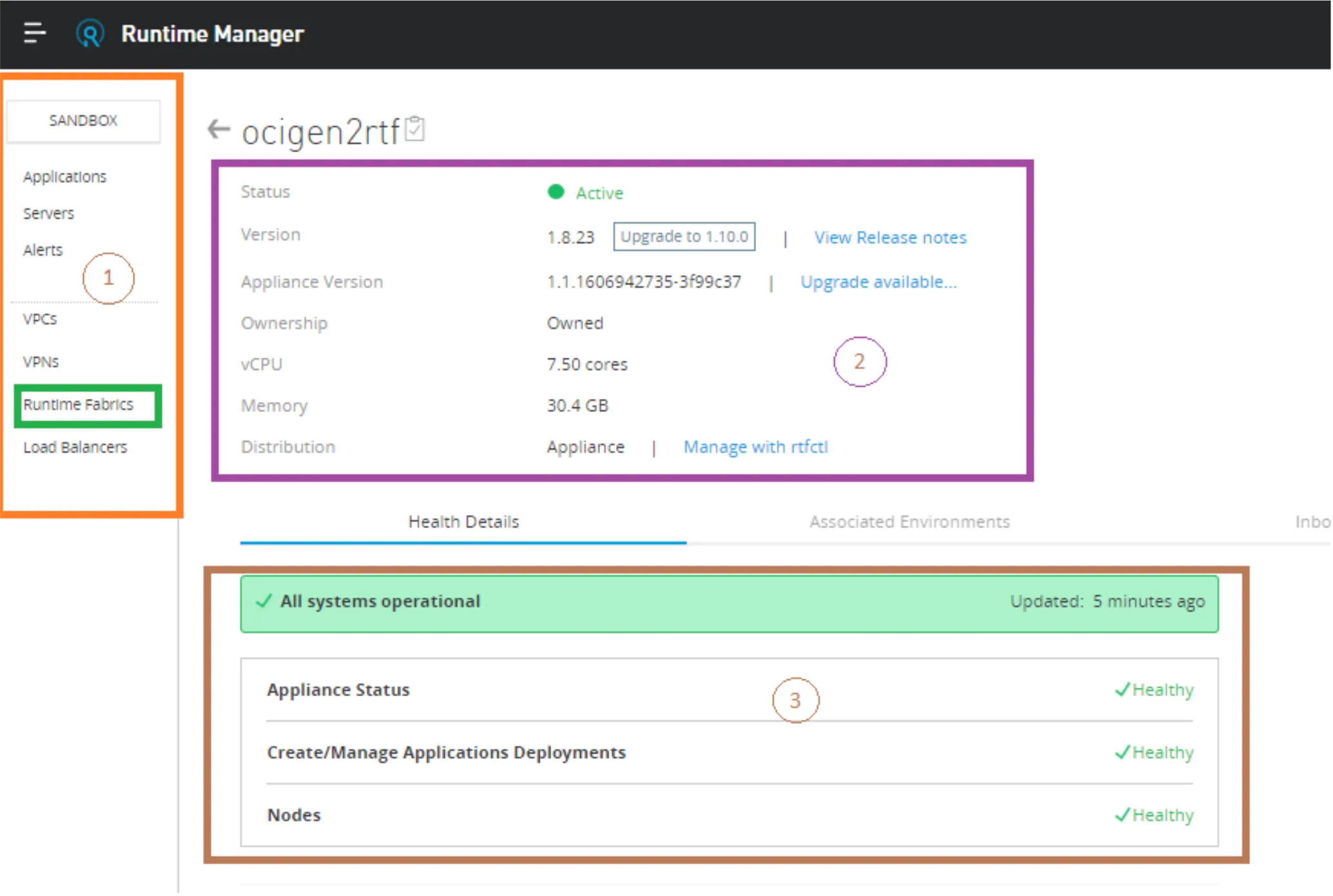 Runtime Manager Runtime Fabrics view with summary and health detail blocks numbered 1, 2, 3