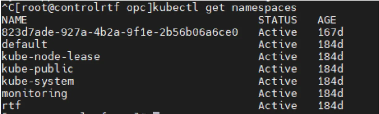 kubectl get namespaces output listing the Sandbox environment UUID plus rtf and kube namespaces