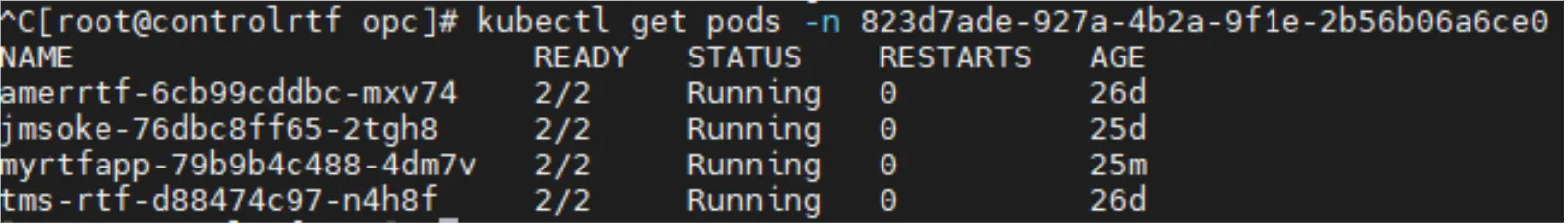 kubectl get pods for the Sandbox namespace listing four running RTF application pods