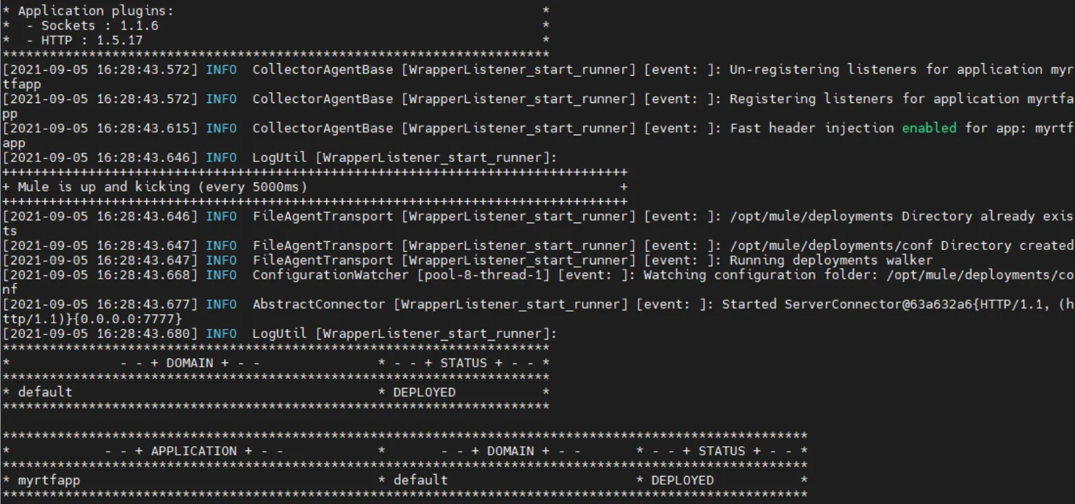 Terminal showing the Mule runtime application log retrieved via kubectl logs