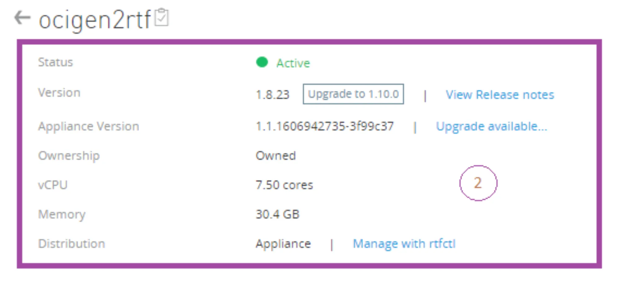 Runtime Fabric summary panel showing Active status, version 1.8.23, vCPU and memory
