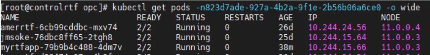 kubectl get pods -o wide output revealing each pod's IP address and node