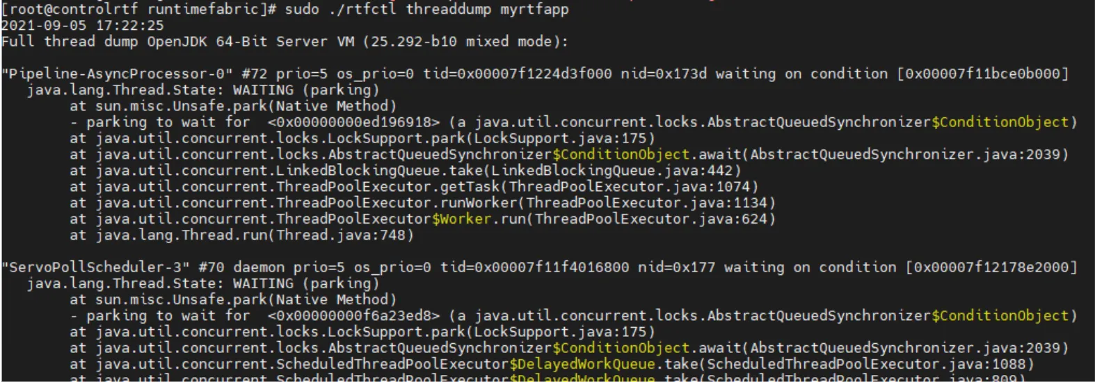 Terminal output of rtfctl threaddump showing JVM thread stack traces for myrtfapp