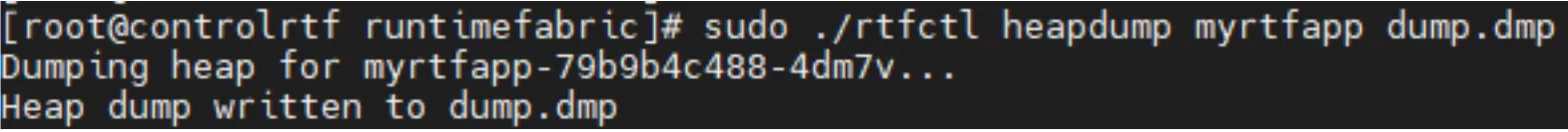 Terminal showing rtfctl heapdump writing the myrtfapp heap to dump.dmp