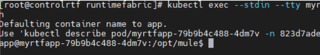 kubectl exec opening a bash shell inside the myrtfapp pod at /opt/mule