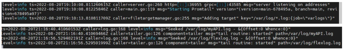 Promtail container startup logs showing it tailing /var/log/flexlog.log