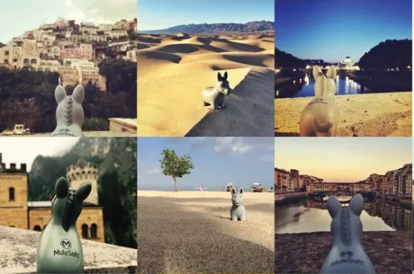 Photo grid of Max the Mule figurine posed at travel destinations worldwide