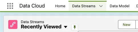 Data Cloud Data Streams tab with the New button to create a data stream