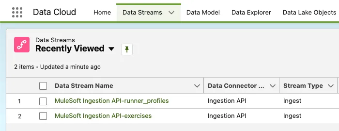 Two deployed data streams: MuleSoft Ingestion API-runner_profiles and -exercises