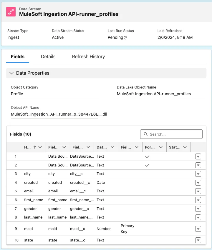runner_profiles data stream fields table with maid set as the Primary Key