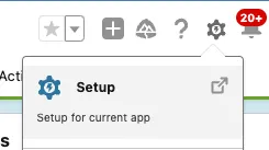 Salesforce gear menu showing the Setup option for the current app