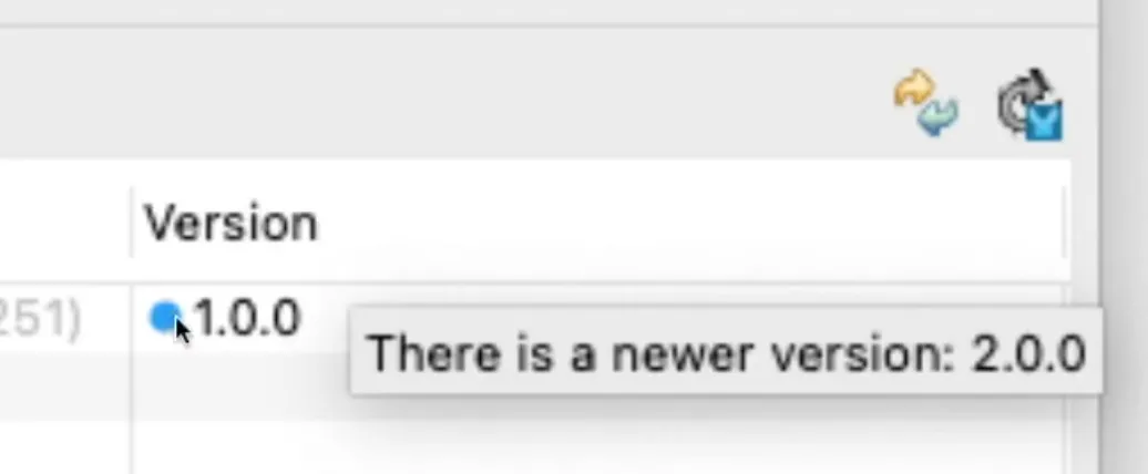 Tooltip on the API version 1.0.0 reading "There is a newer version: 2.0.0"