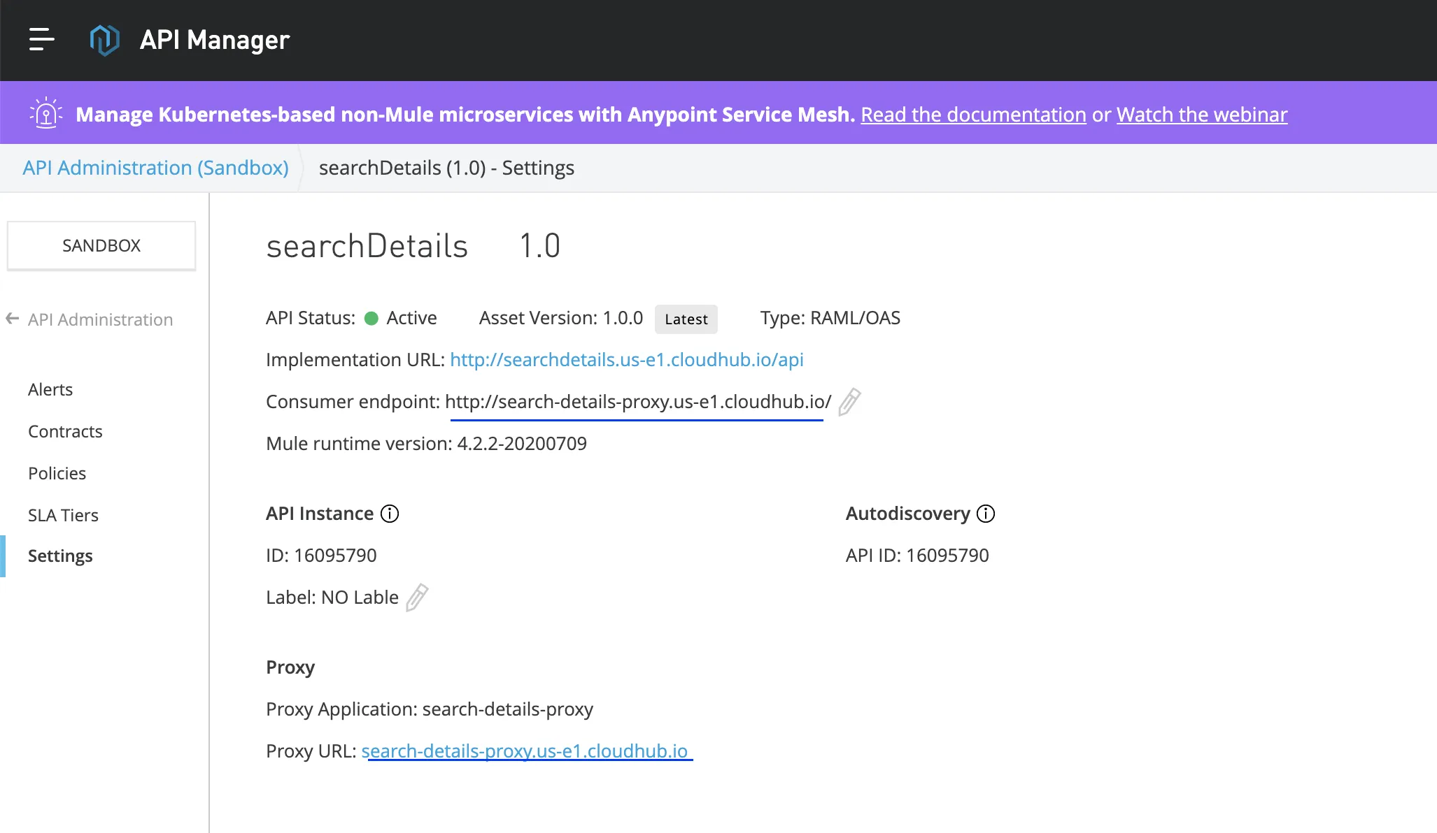 Active API instance showing the implementation URL, the consumer endpoint, and the deployed proxy URL