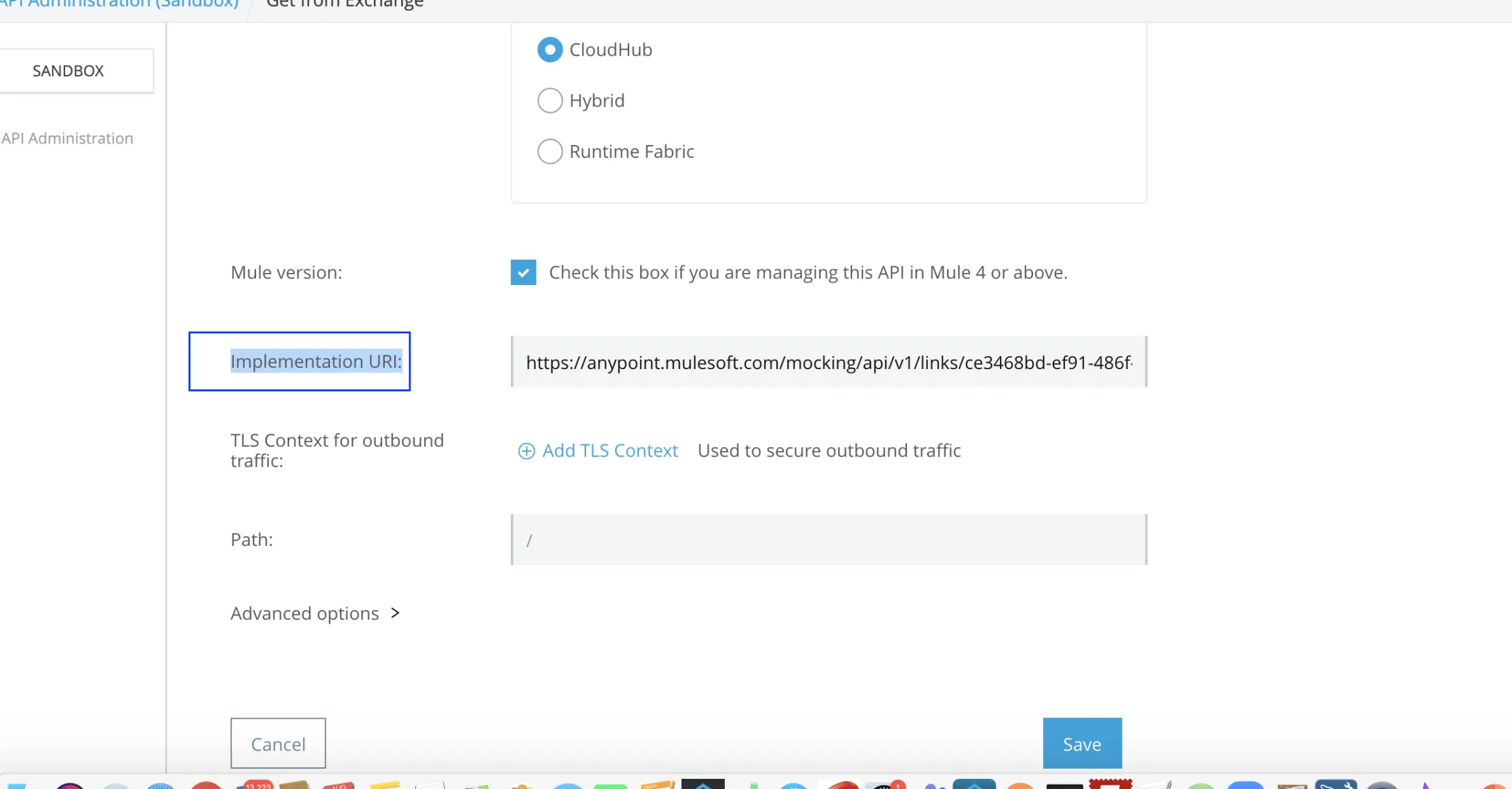 Proxy setup form with deployment target CloudHub selected and the Implementation URI field filled in