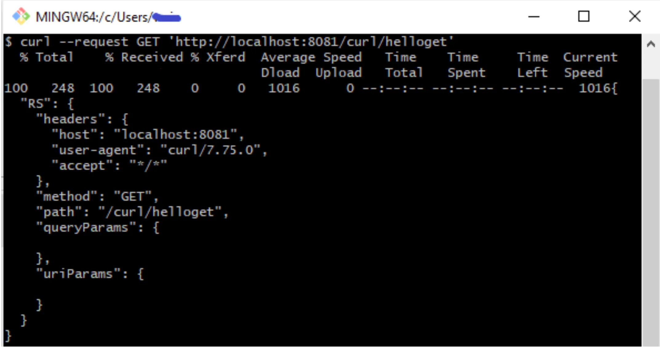 curl GET request to /curl/helloget and the JSON response echoing the request method and path