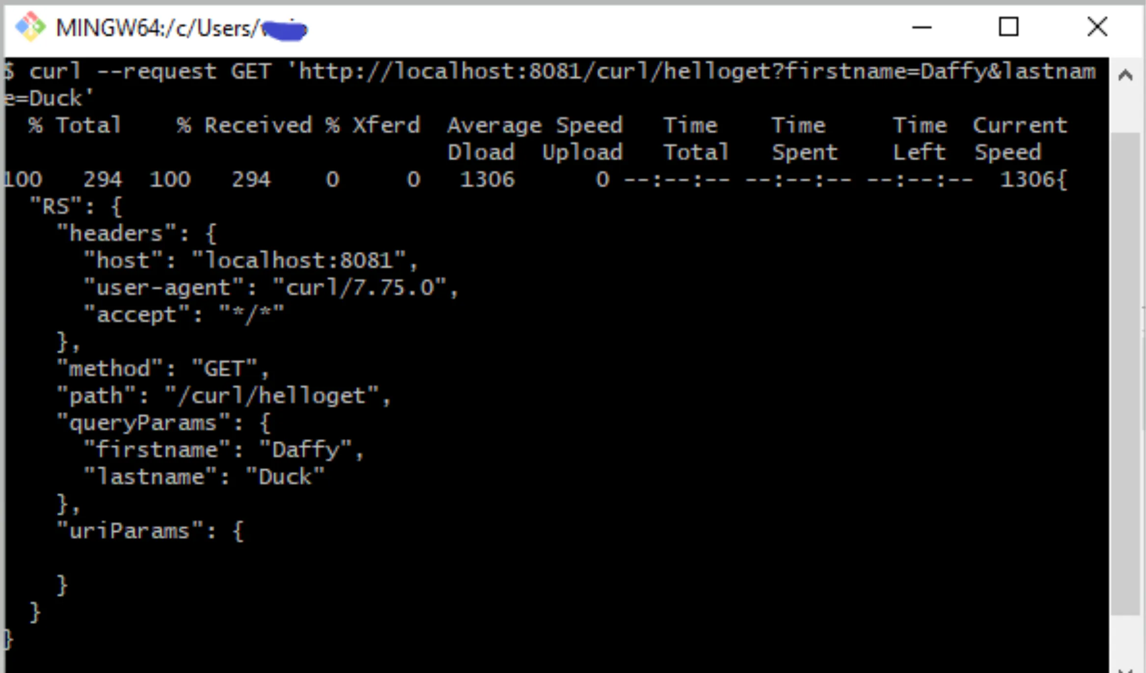 curl GET with firstname and lastname query params echoed back in the response queryParams
