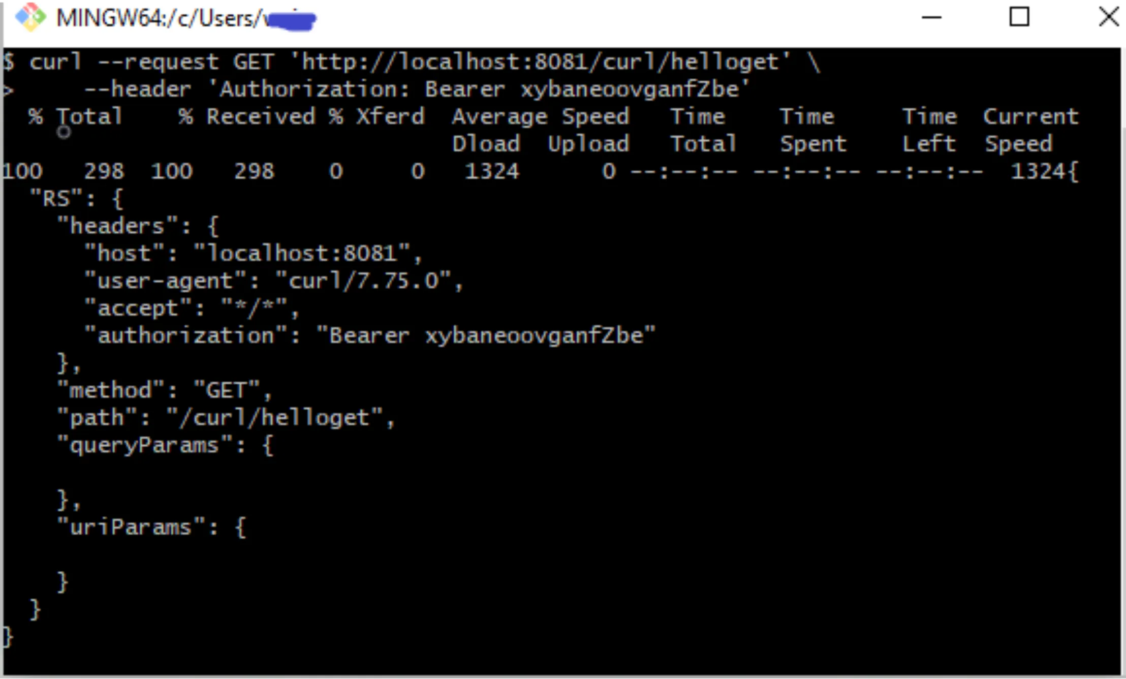 curl GET with a single Authorization Bearer header echoed in the response headers