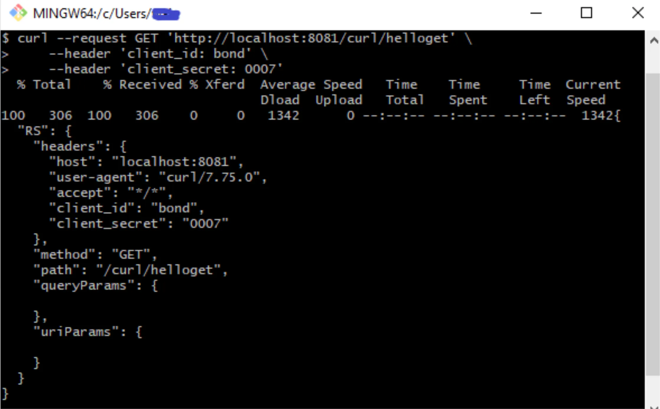 curl GET with client_id and client_secret headers echoed in the response headers