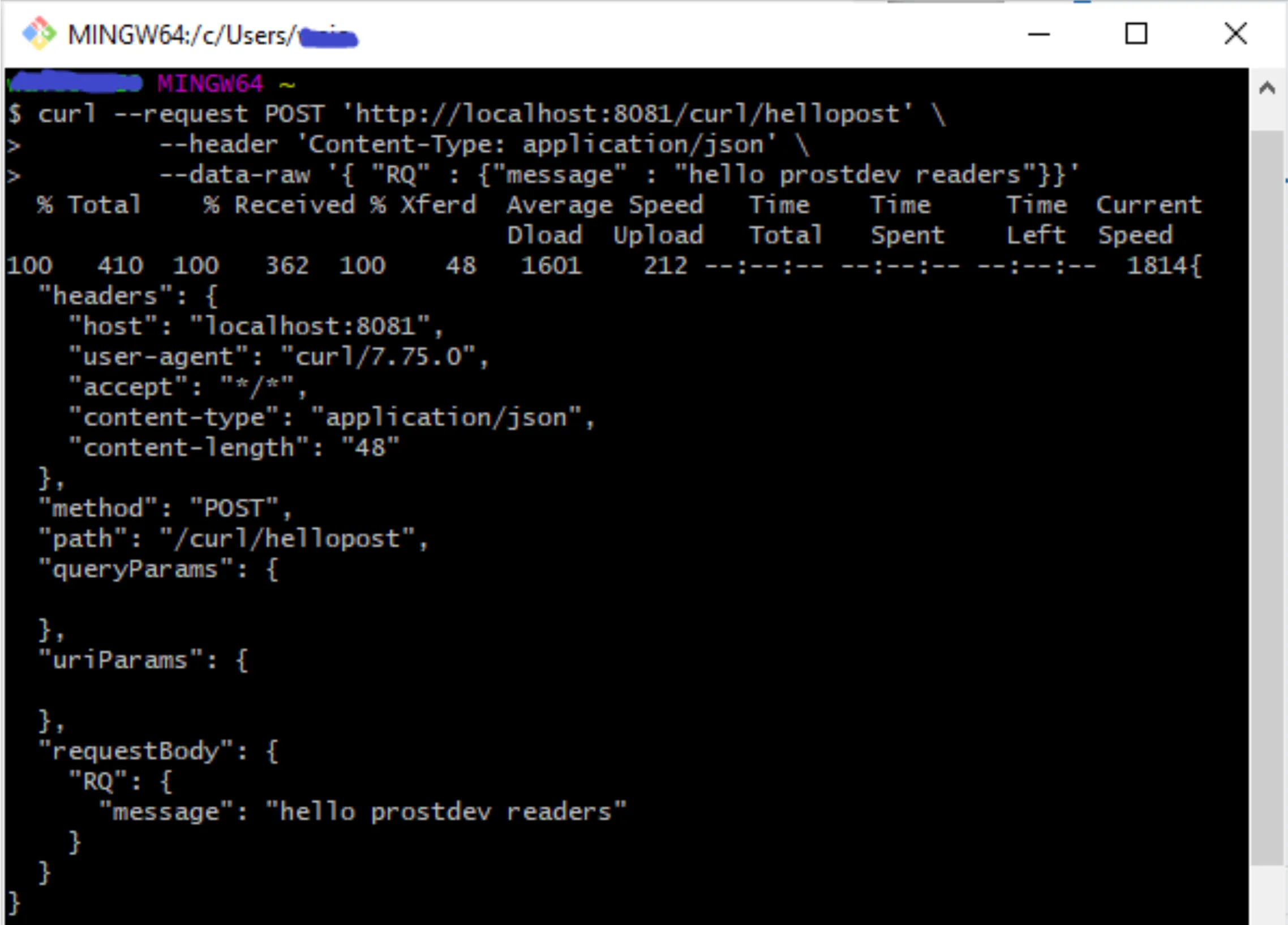 curl POST to /curl/hellopost with a JSON body echoed back in the response requestBody