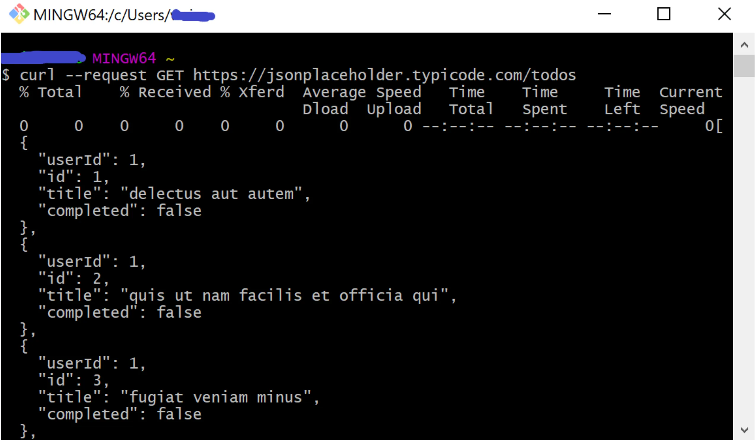 Terminal showing a curl GET to the JSON Placeholder API returning a list of to-do objects