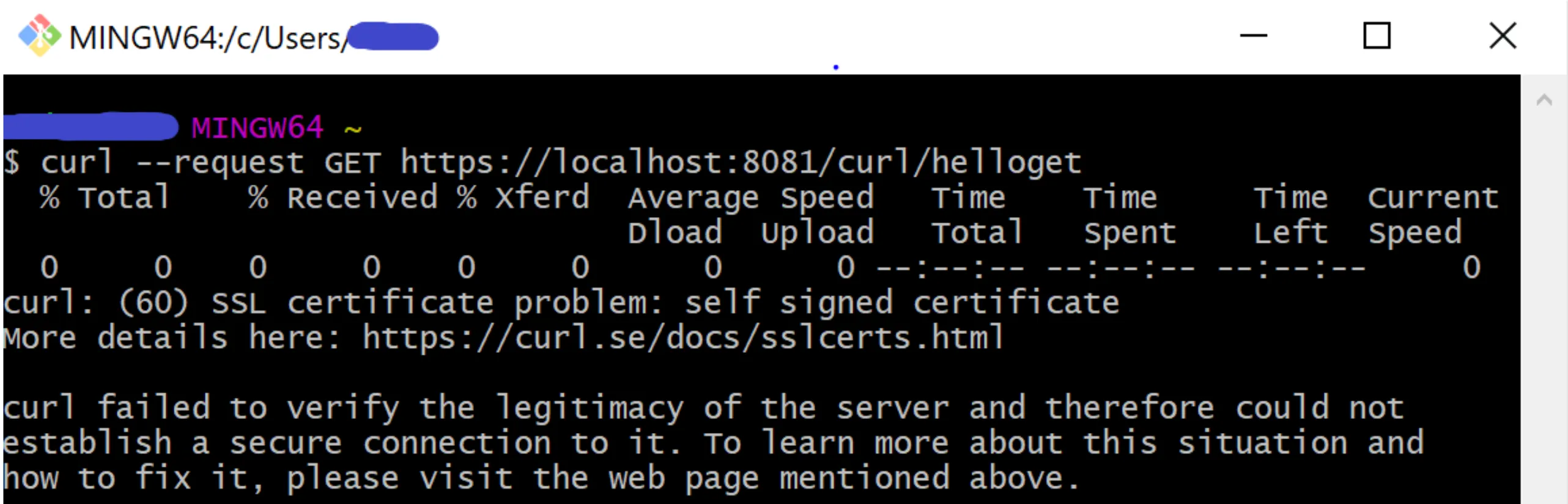 Terminal showing the curl error "SSL certificate problem: self signed certificate"