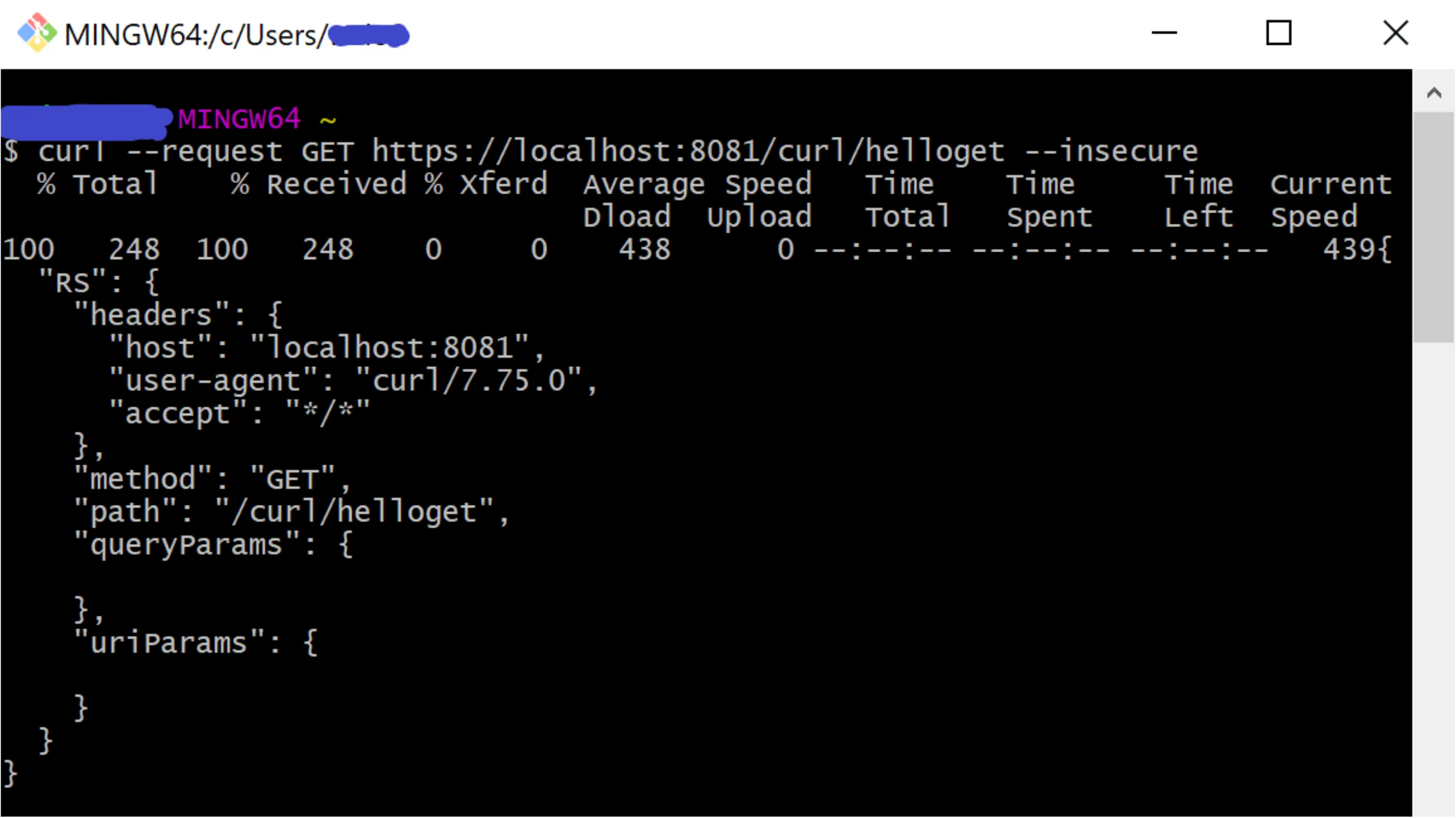 Terminal showing a successful Mule API response after adding the curl --insecure option