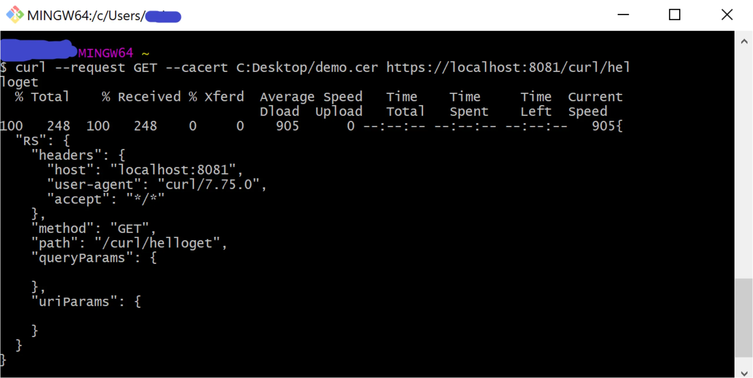 Terminal showing a successful Mule API response using the curl --cacert certificate option